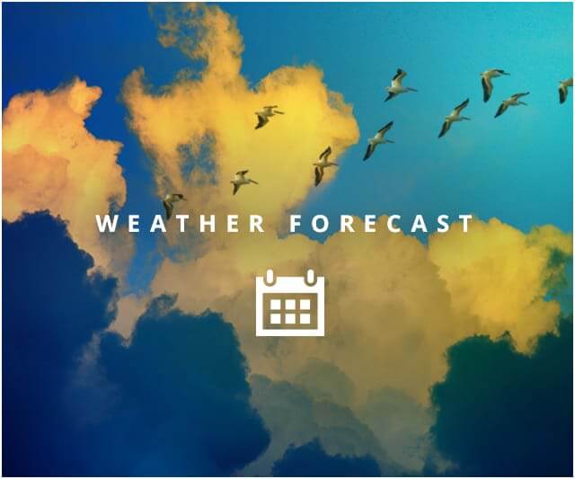 Forecast